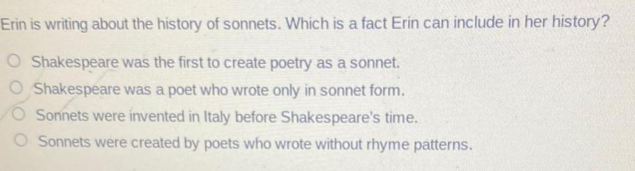 Erin is writing about the history of sonnets